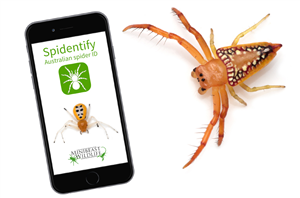 Spy Phone App Cracked Apk