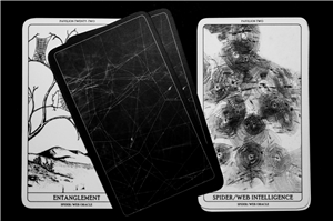 Which Spy App Is Best for Iphone