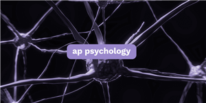 Truth Spy App for Phone