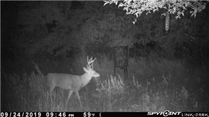 Spy App Kostenlos Iphone