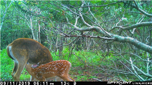 The Best Eye Spy App for Android