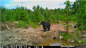 Spy on His Phone App