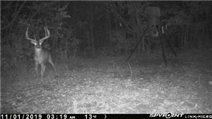 Whatsapp Spy Utility Tool