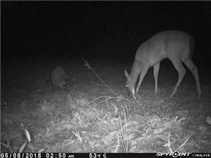 Iphone Spy App Invisible