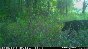 Install Spy App on Computer