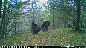 Install Spy App Remotely