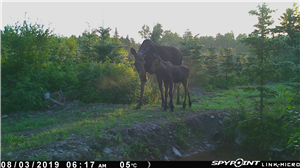 Spy App Auf Handy Installieren