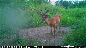 How to Use Spy Calculator App