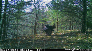 Best Spy Apps for Messages