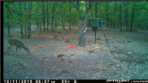 Spy Cam App Iphone 6